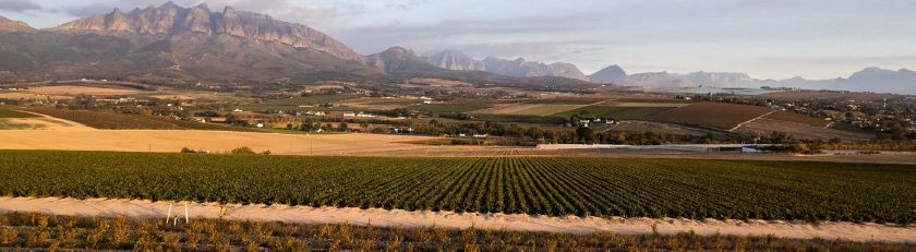 3 Bedroom Property for Sale in Wellington Central Western Cape